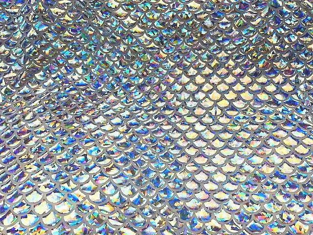 Fish Scales Iridescent Foil Jersey