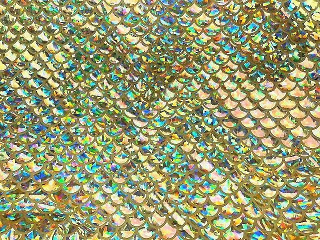 Fish Scales Iridescent Foil Jersey
