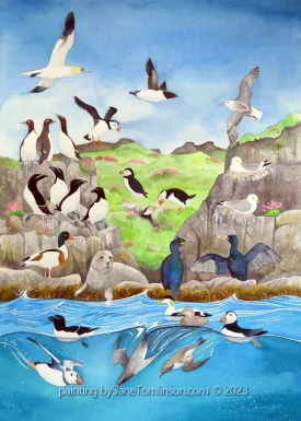 Seabird Spectacular!