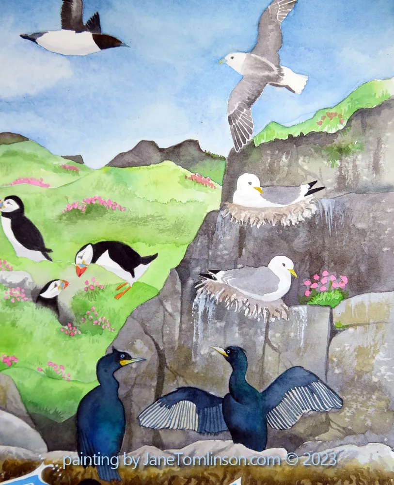 Seabird Spectacular!