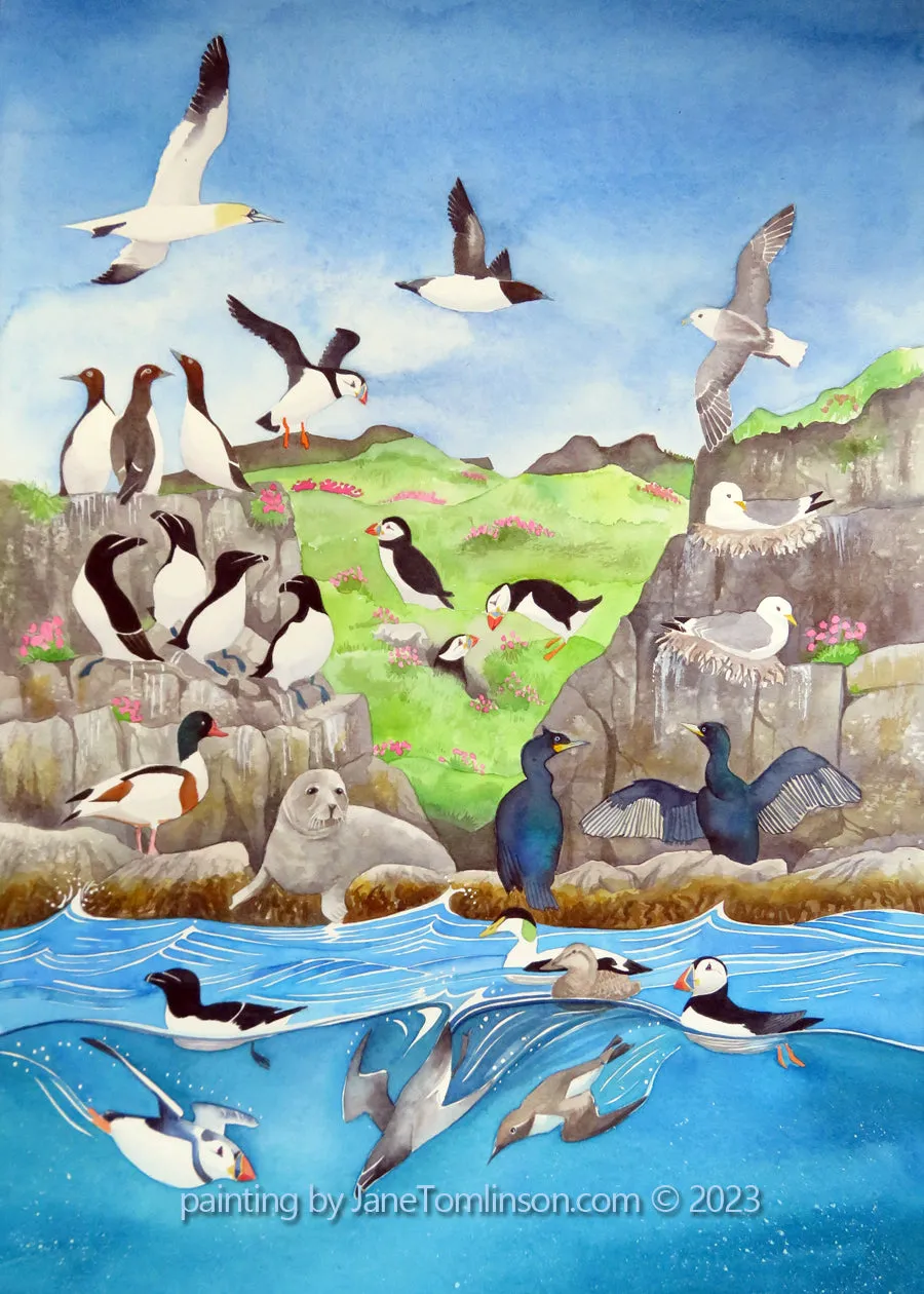Seabird Spectacular!